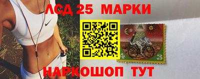 гашик Нальчик