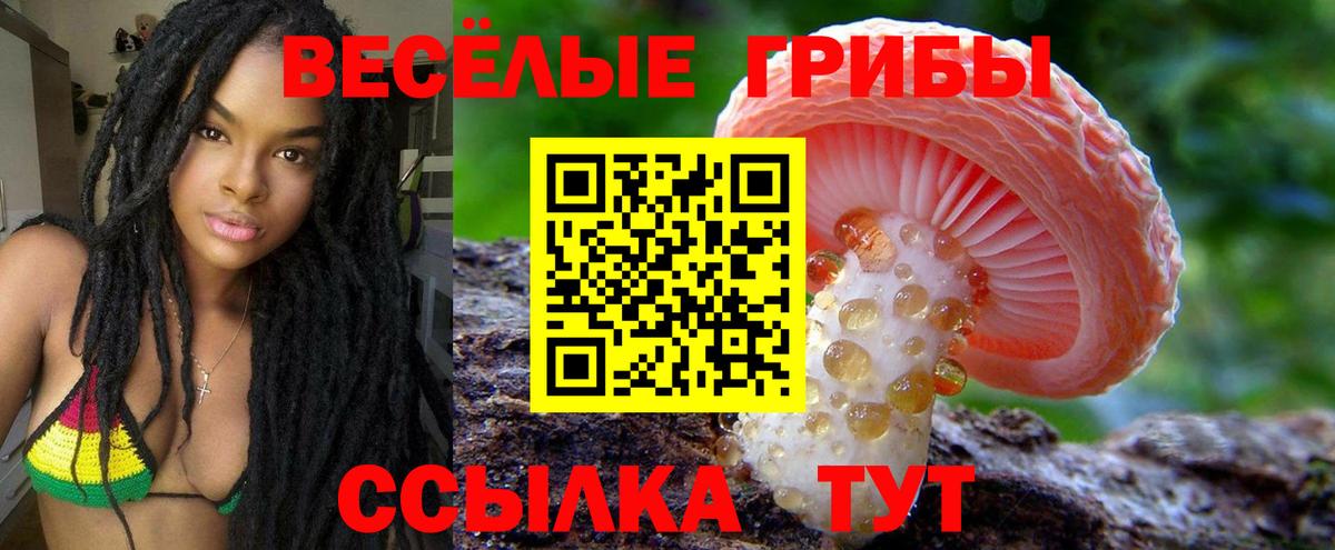 Черняховск  Псилоцибиновые грибы прущие грибы  Вход с VPN 